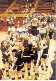 1982 Arlington High School Girls Basketball Team
